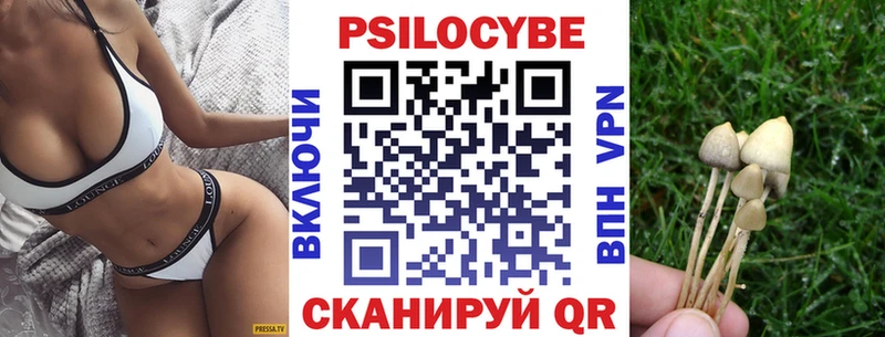 Галлюциногенные грибы прущие грибы  Ленинградская 